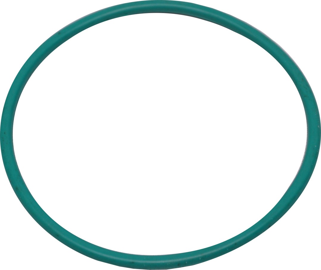 10 Inch Housing O-Ring