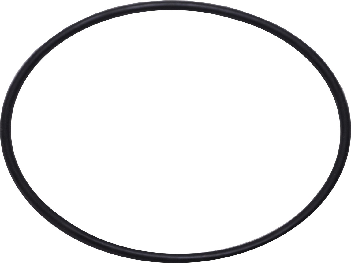 20 Inch Housing O-Ring