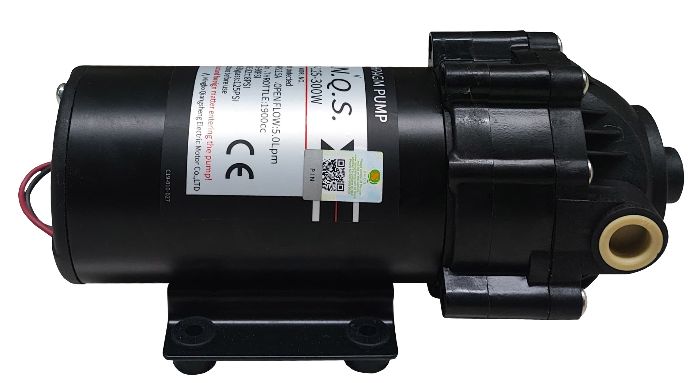 b.n.q.s - pump - 300 gpd