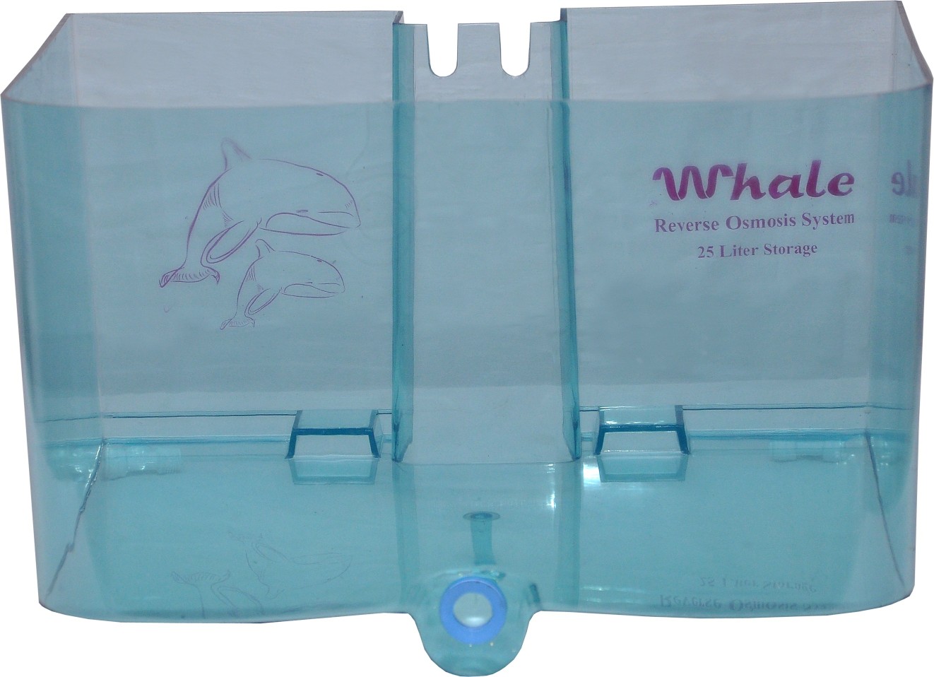 Whale Tank
